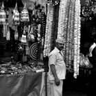 The Festival Ganpati Bappa