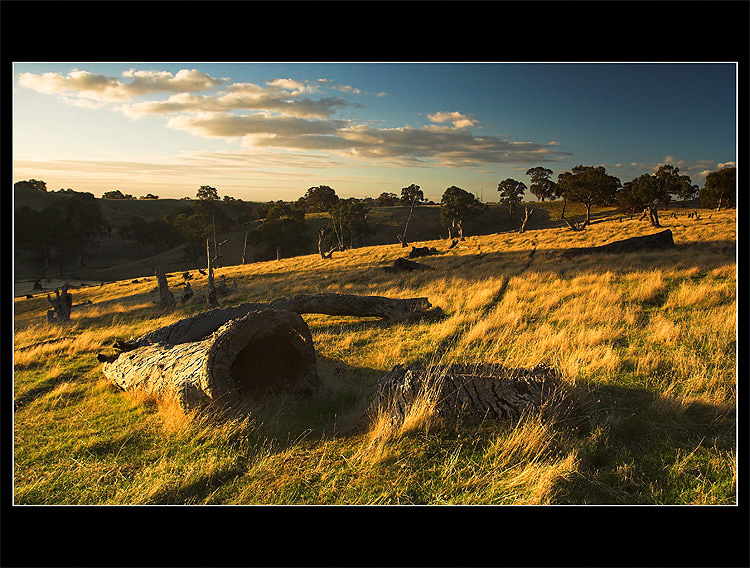 ~ The fields around Adelaide ~