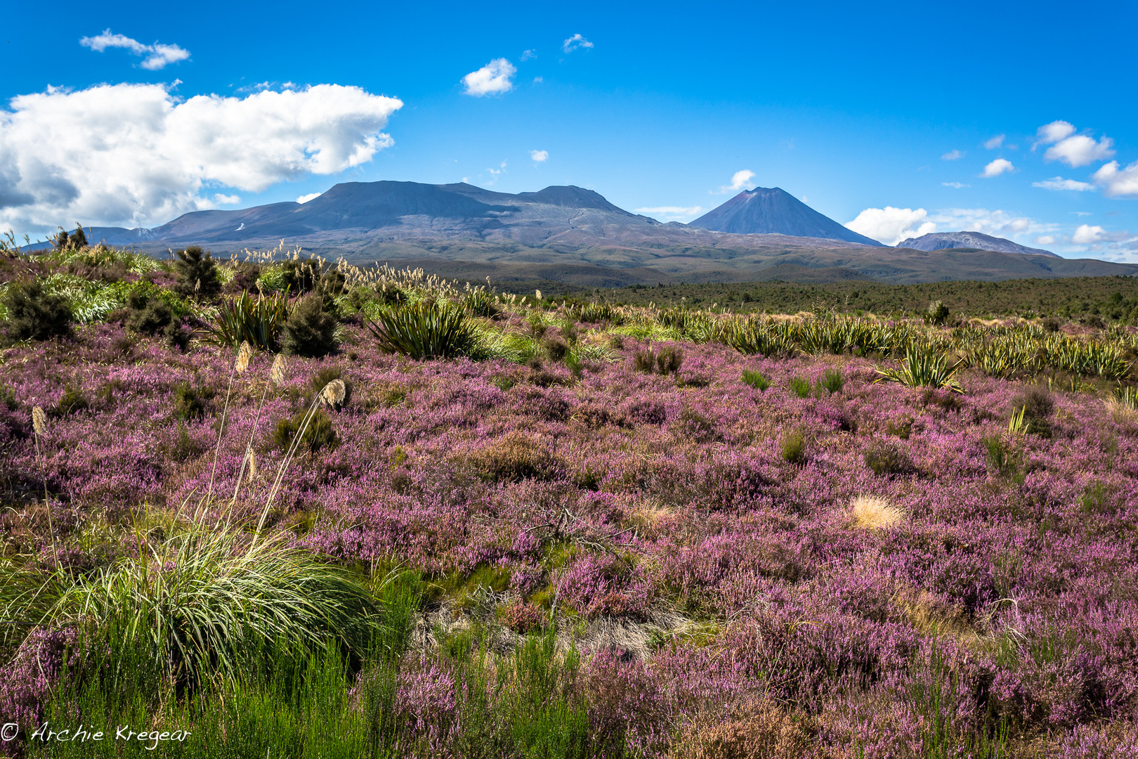 The fields around Mt. Nagaurhoe. 