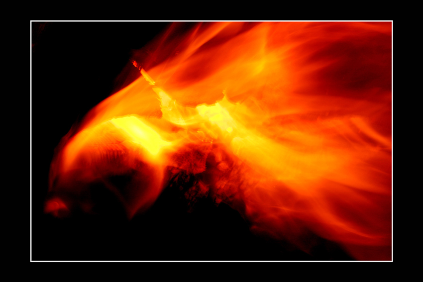 The fiery element (IV) - Comets tail