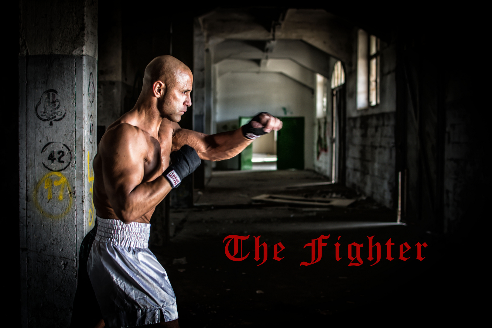 THE FIGHTER