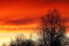 The Fire Of The Sky (II)