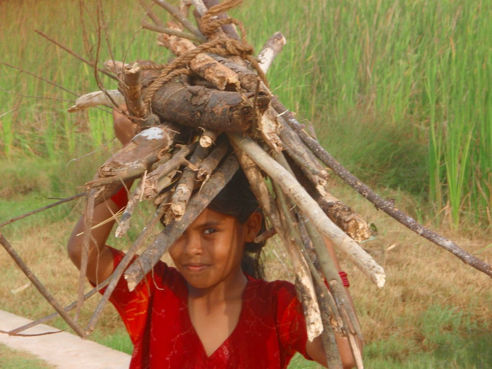 THE FIREWOOD LITTLE GIRL