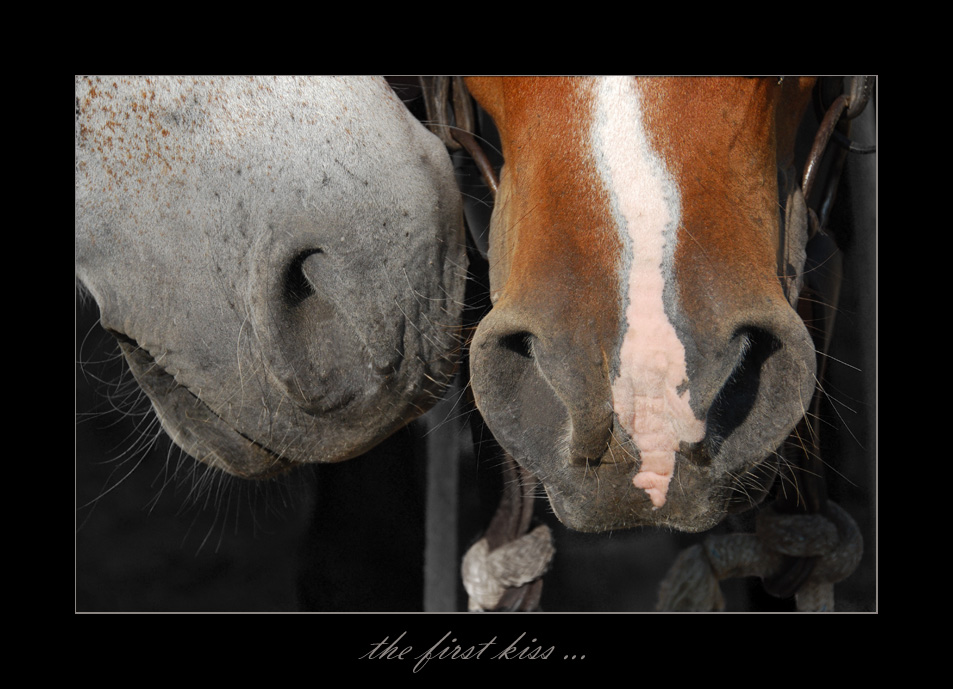 The first kiss