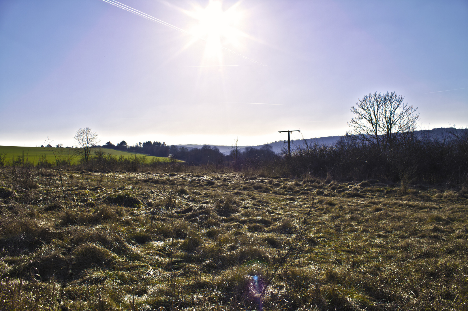 The first real sunbeams