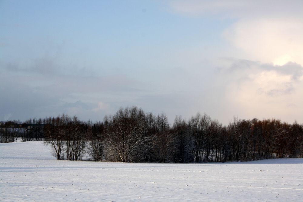 The first snow 2014