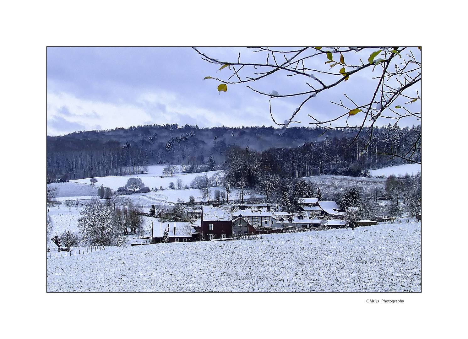 the first snow