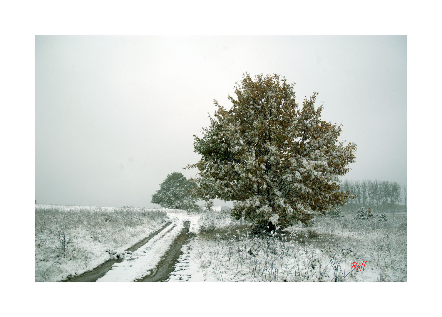 the first snow