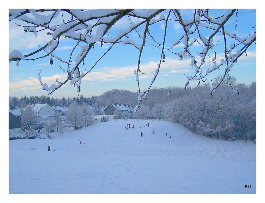 The first snow