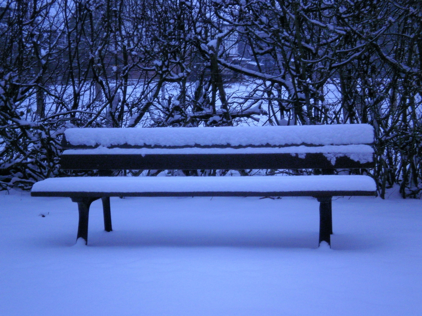 The First Snow