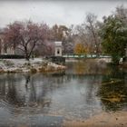 the first snows of winter