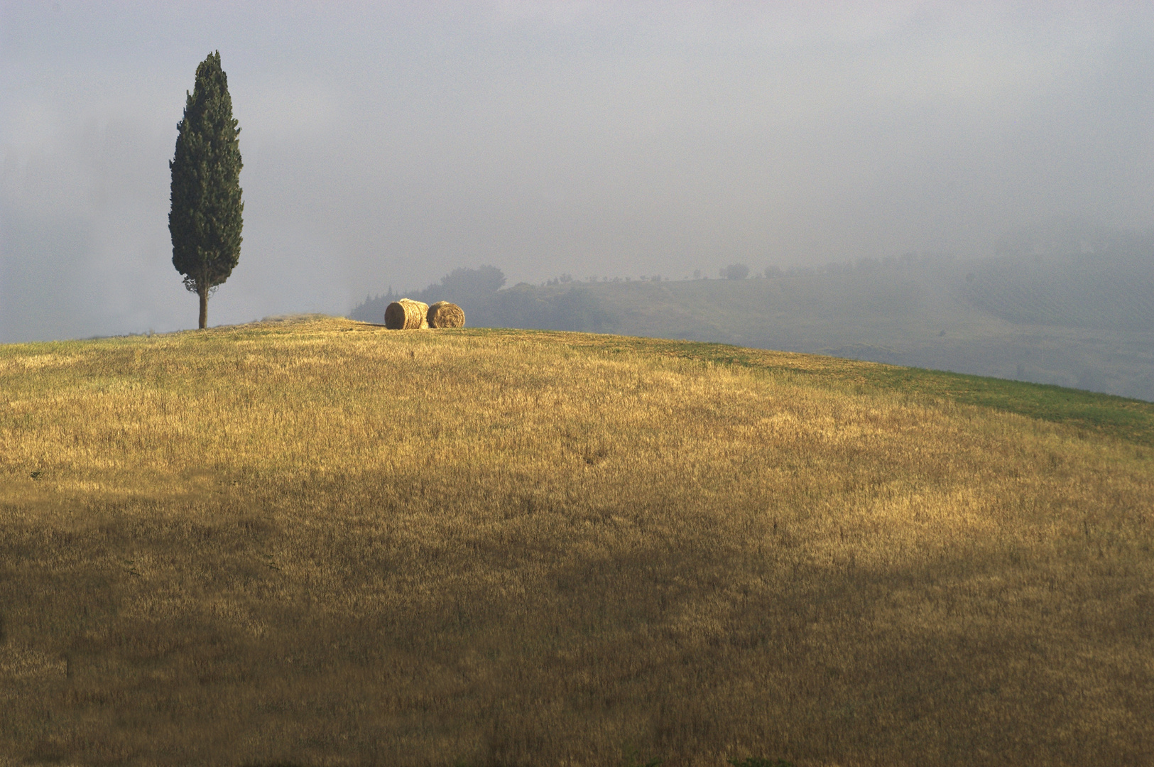 The first sunray into the mist