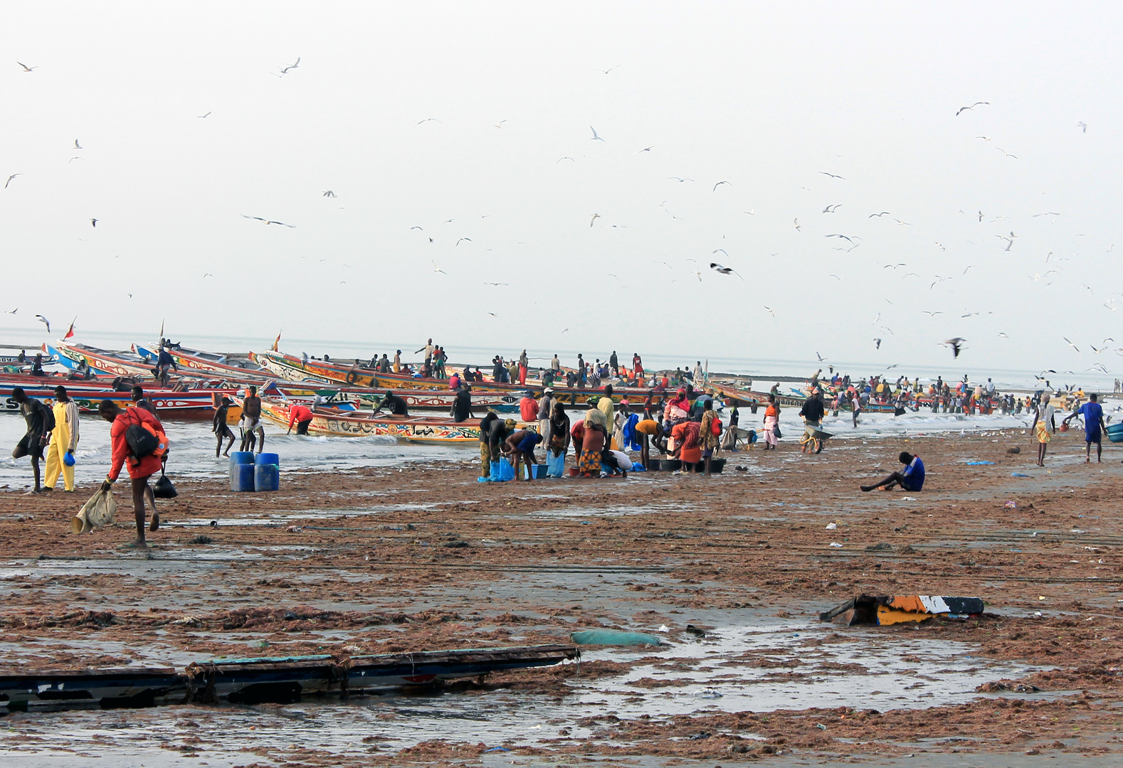 The fish market