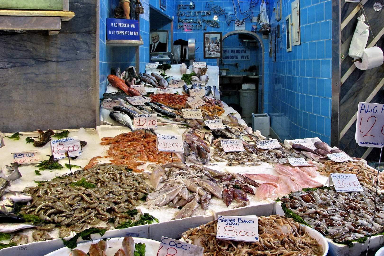 The Fish Market