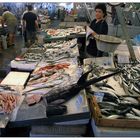 The fish market in Athens