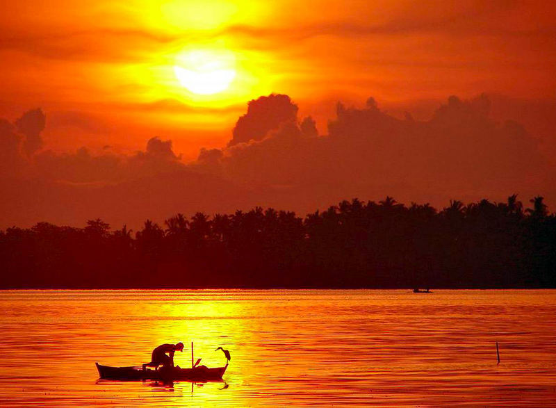 The fisherman and the egret