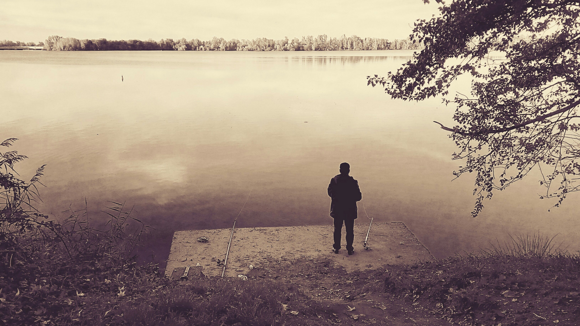 The fisherman and the lake