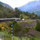 The Flam Railway