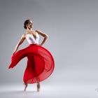 The Flamenco Ballerina