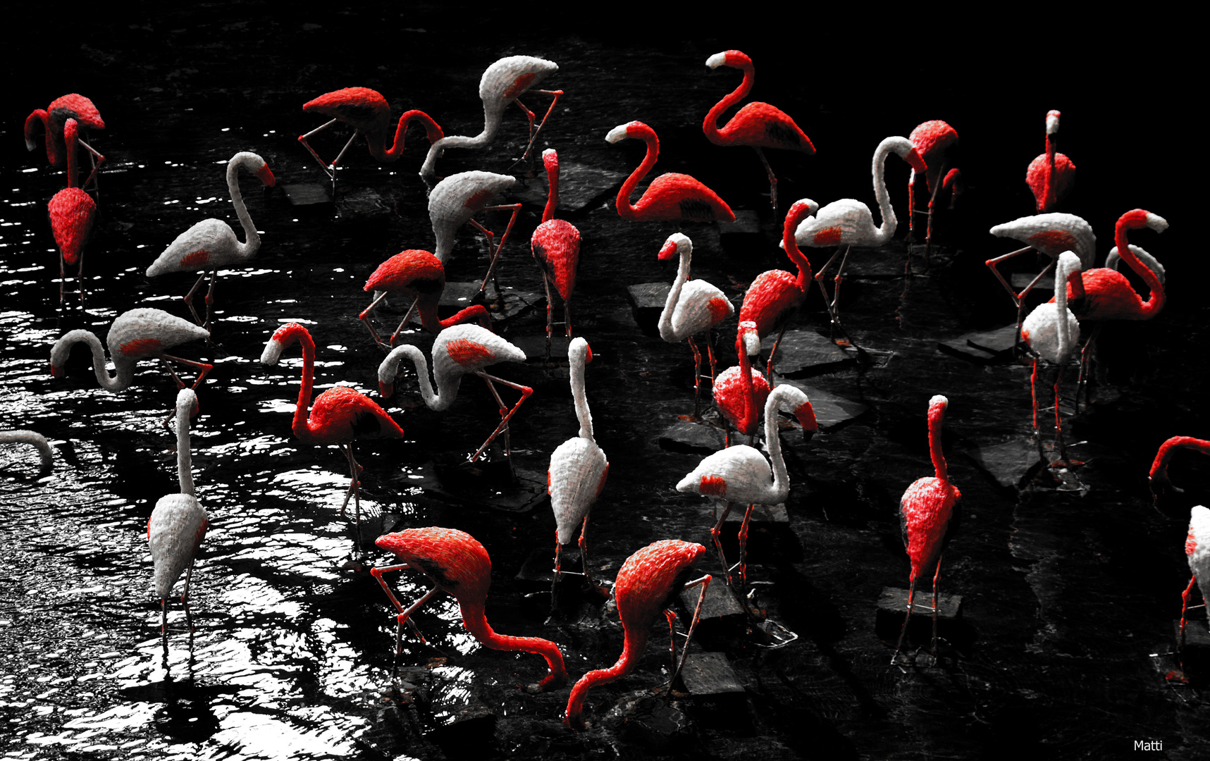 the Flamingo picture