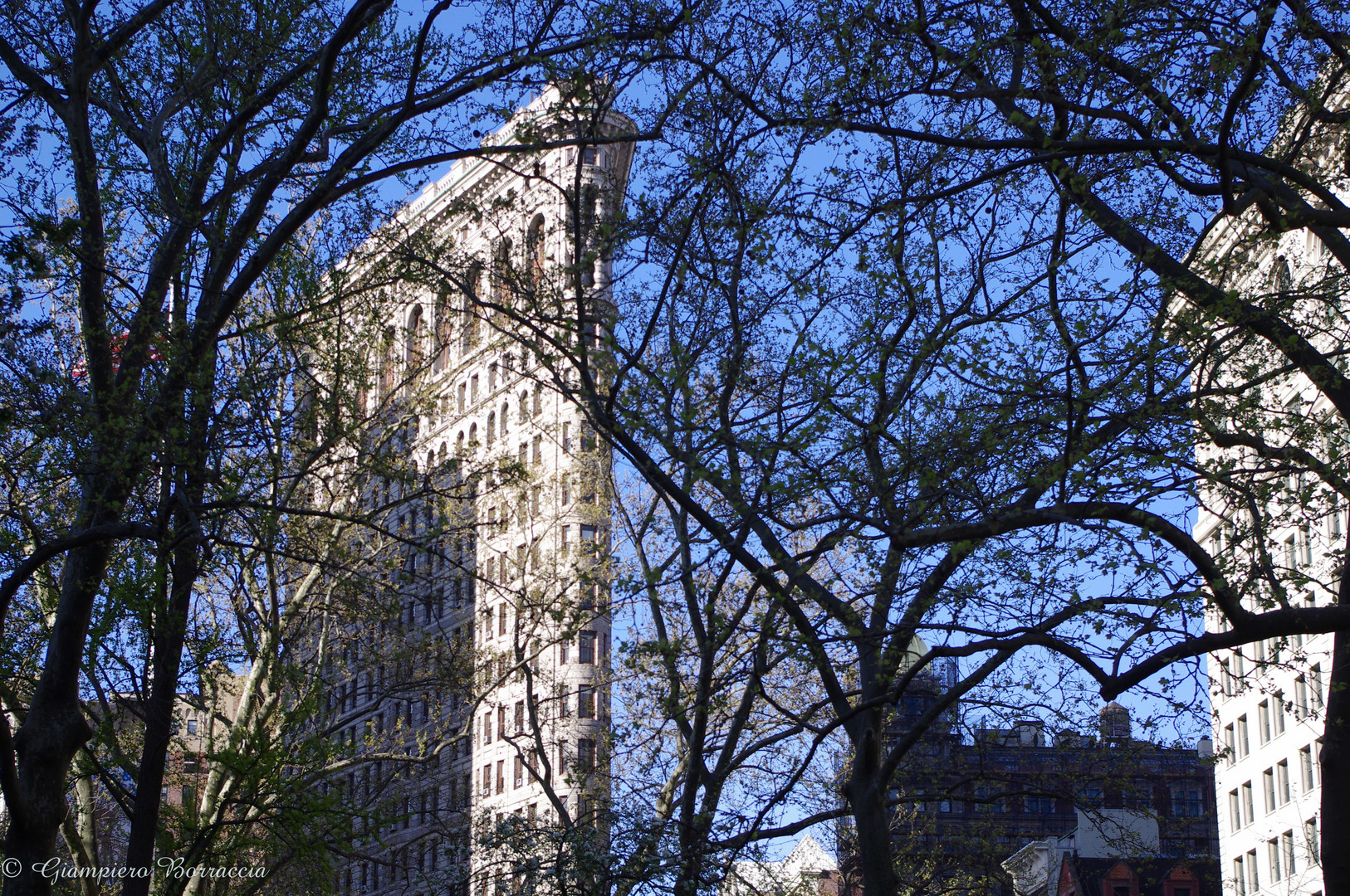 The Flatiron