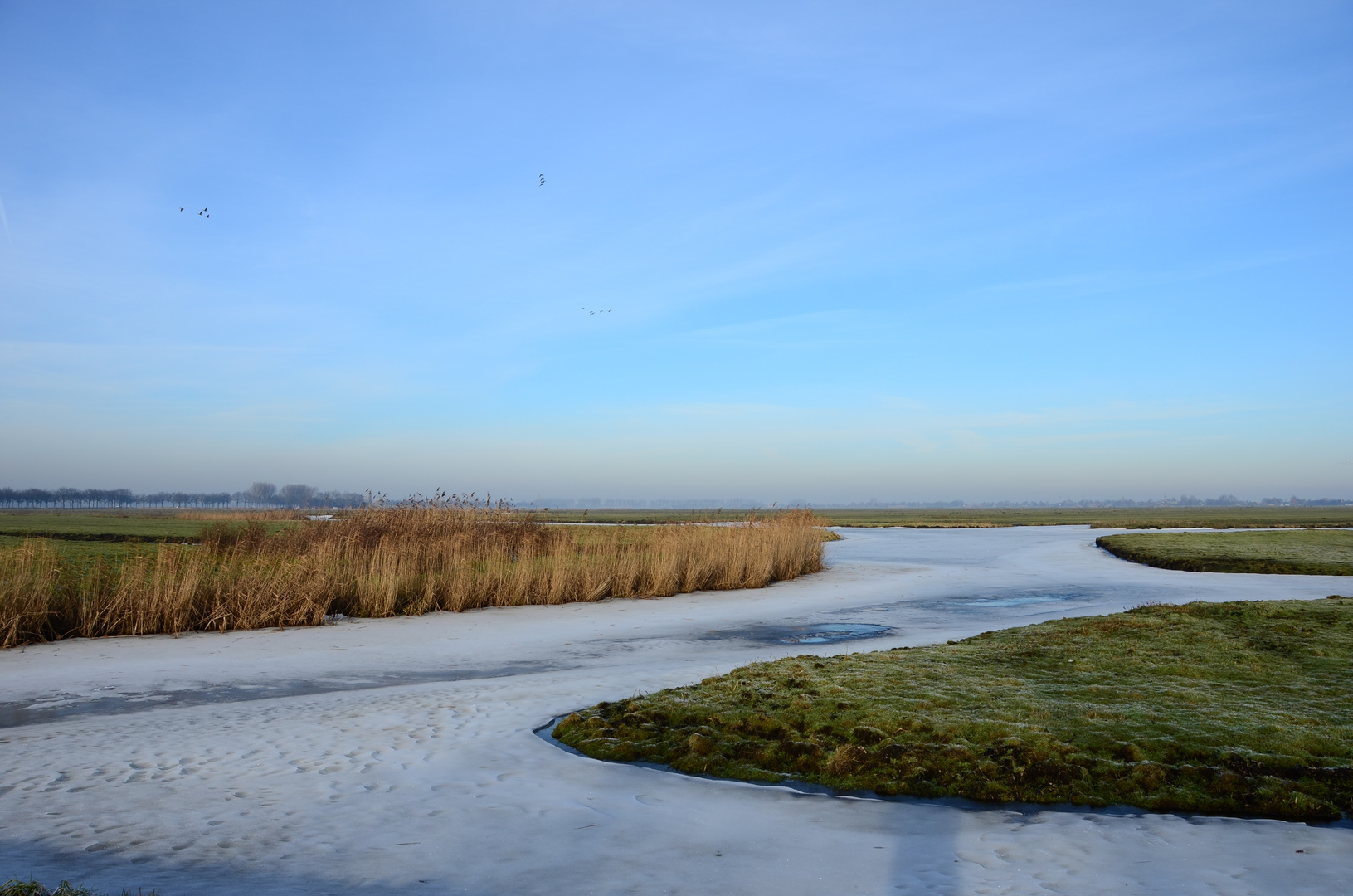 The Flatlands