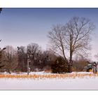 The Flight of the Canadian Geese