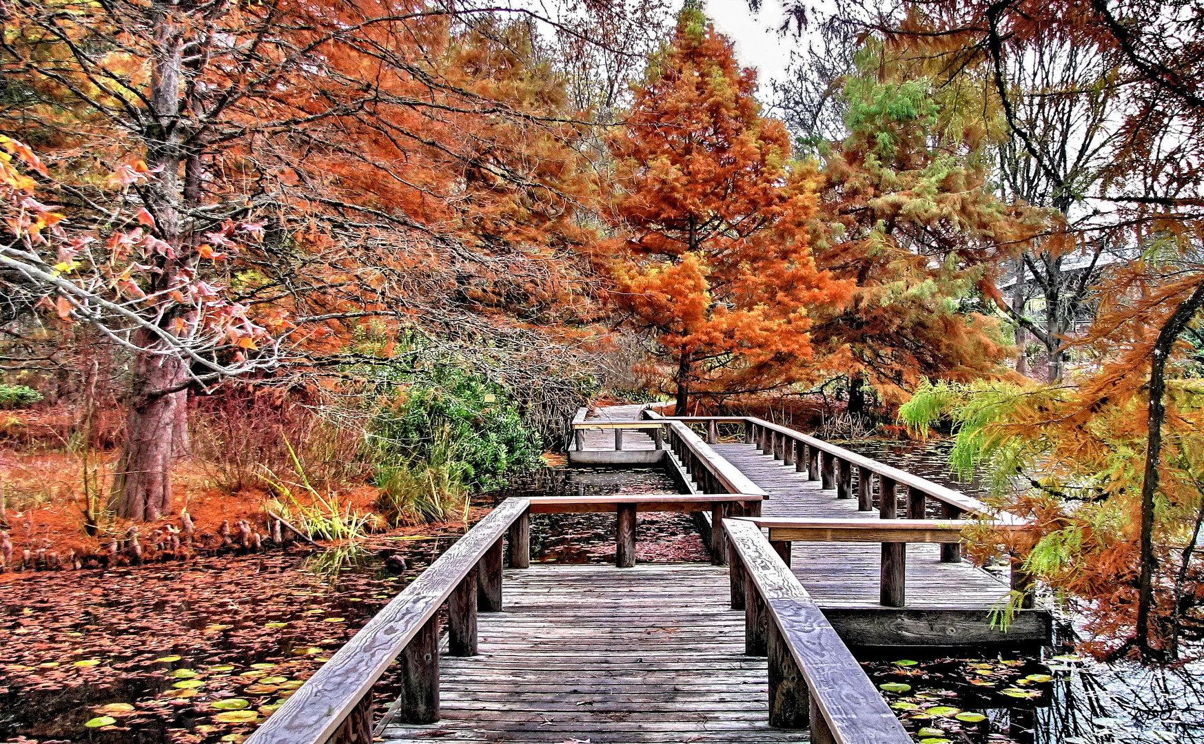 The Floating Bridge