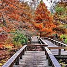 The Floating Bridge