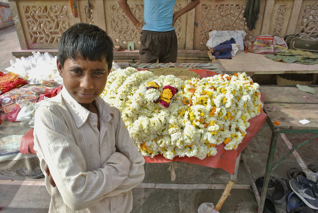 The Flower Marketeer