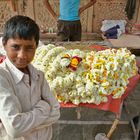 The Flower Marketeer