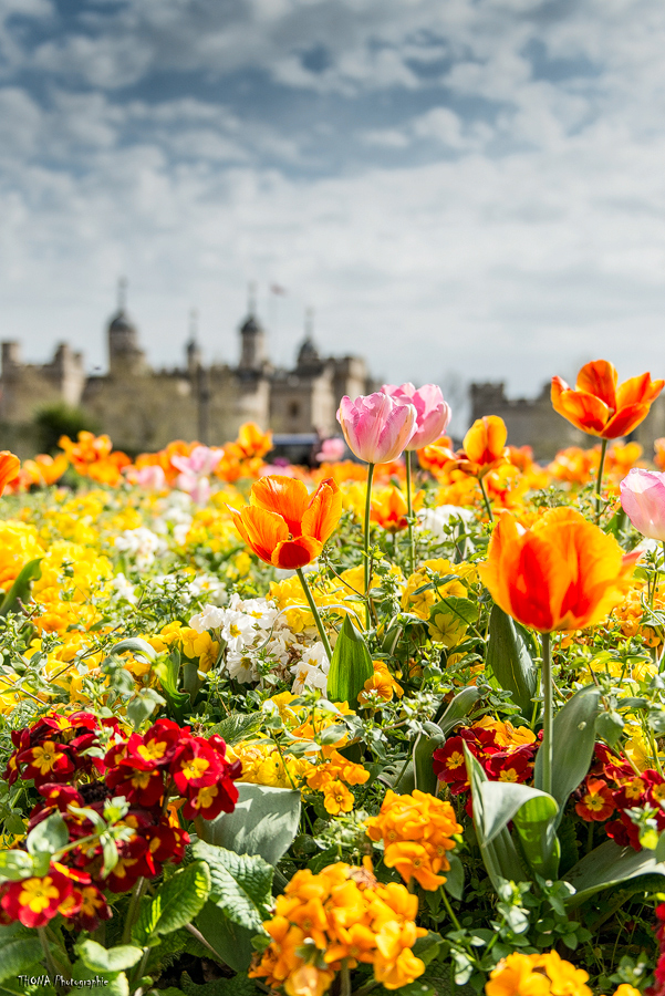 The Flower Tower