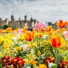 The Flower Tower