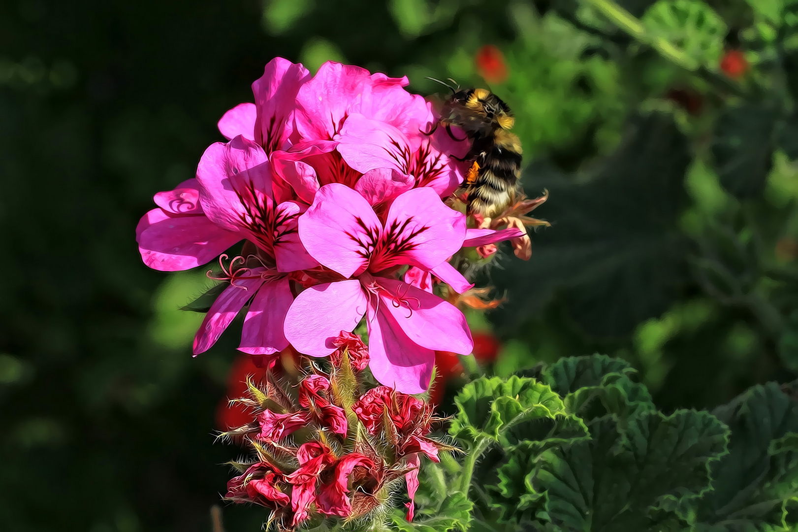 The flower with the bee