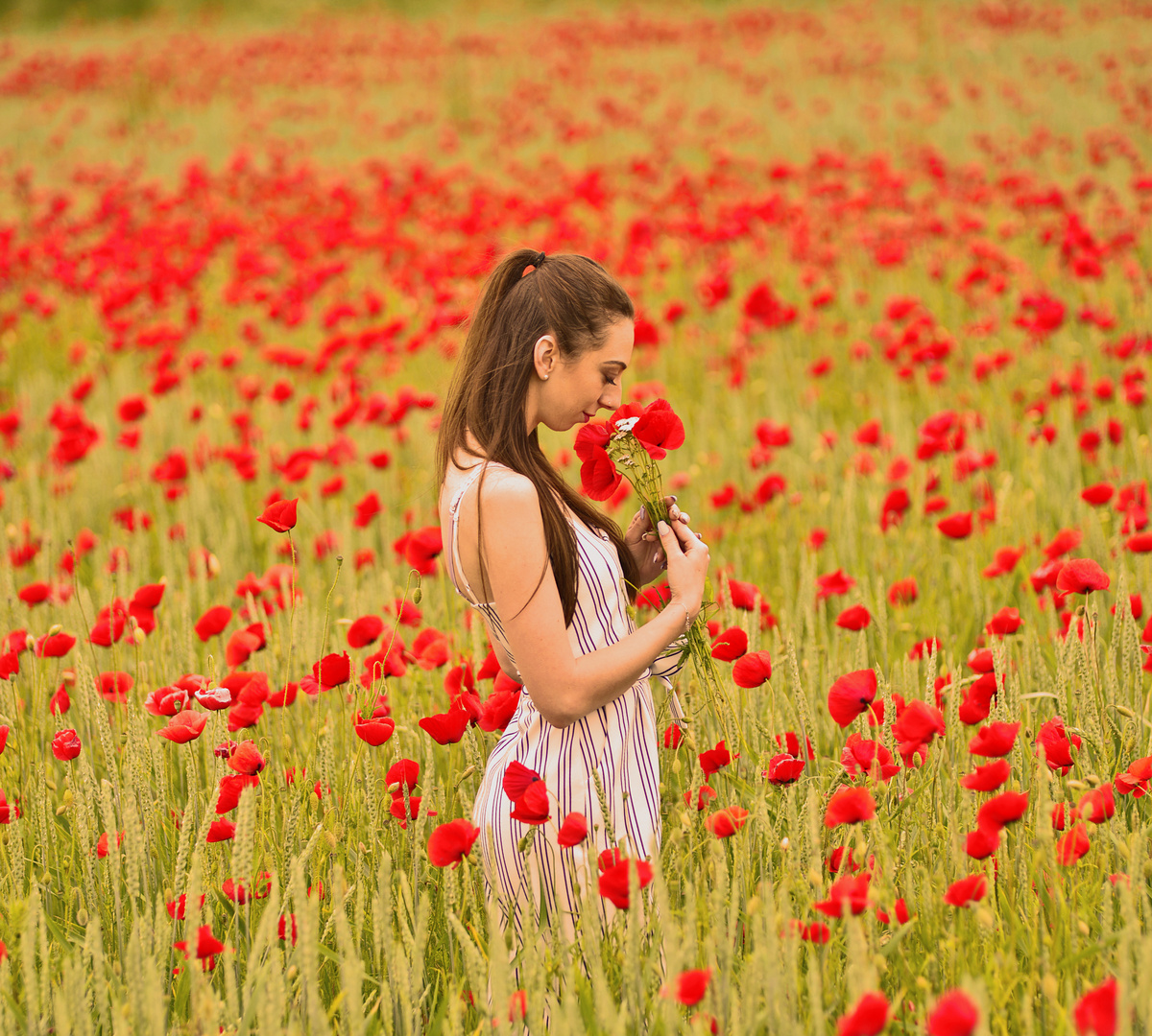 The Flowers