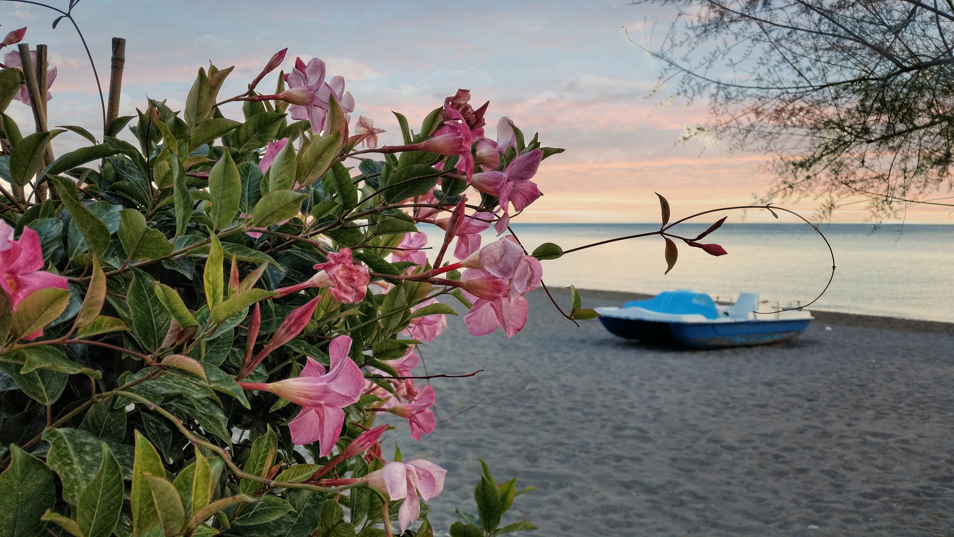 The Flowers of Marina di Vietri 