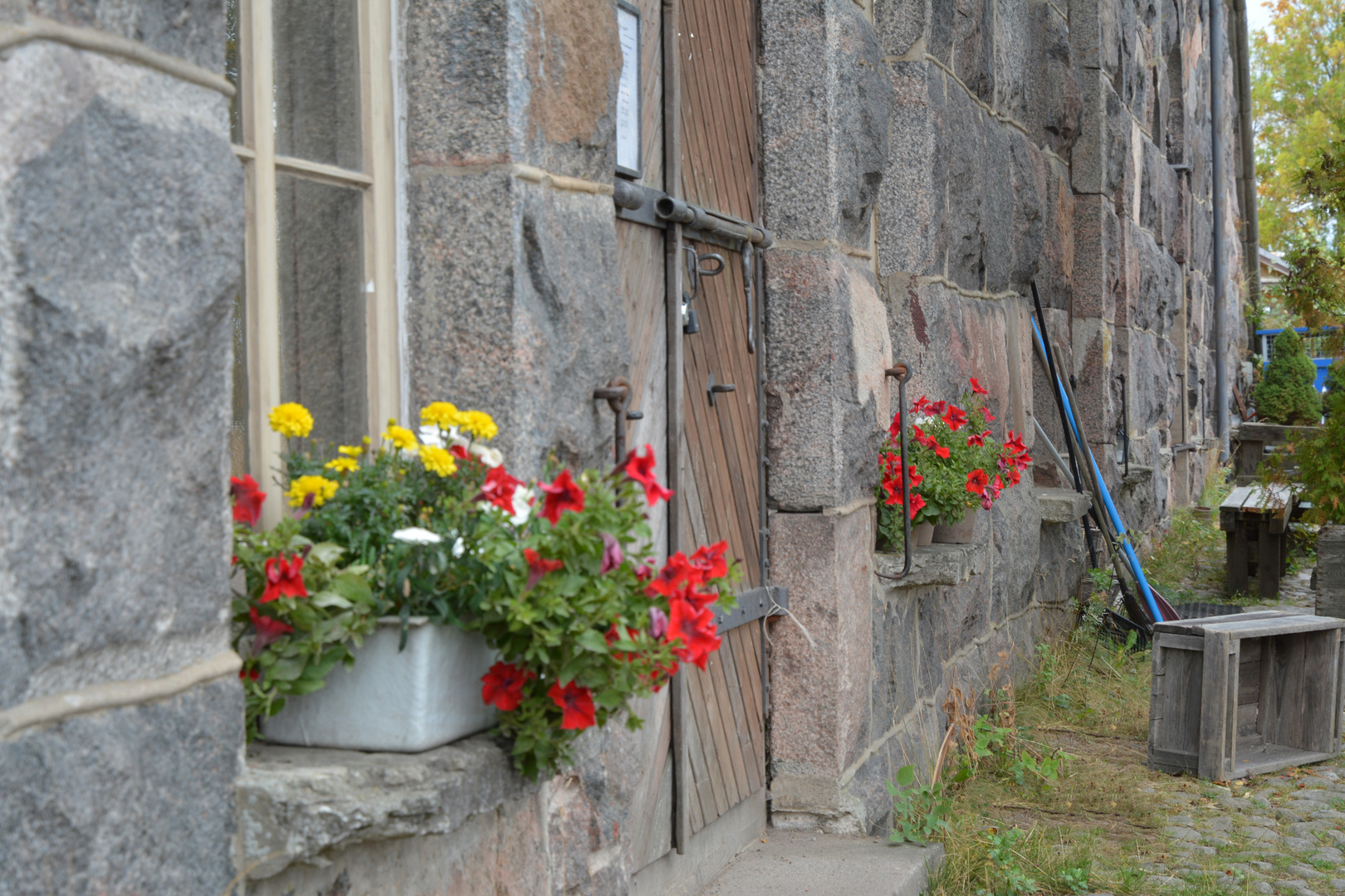 The flowers on window sill