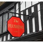 [ The Flushing ]