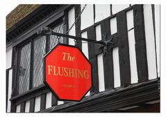 [ The Flushing ]