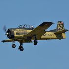 The Flying Bulls T-28B Trojan