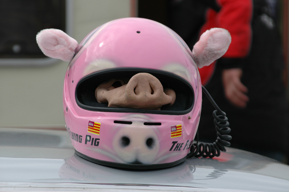 The Flying Pig