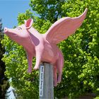 "the flying pink pig"