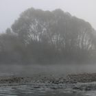 The Fog (1)