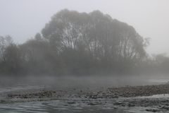 The Fog (1)