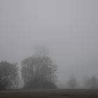 THE FOG 2