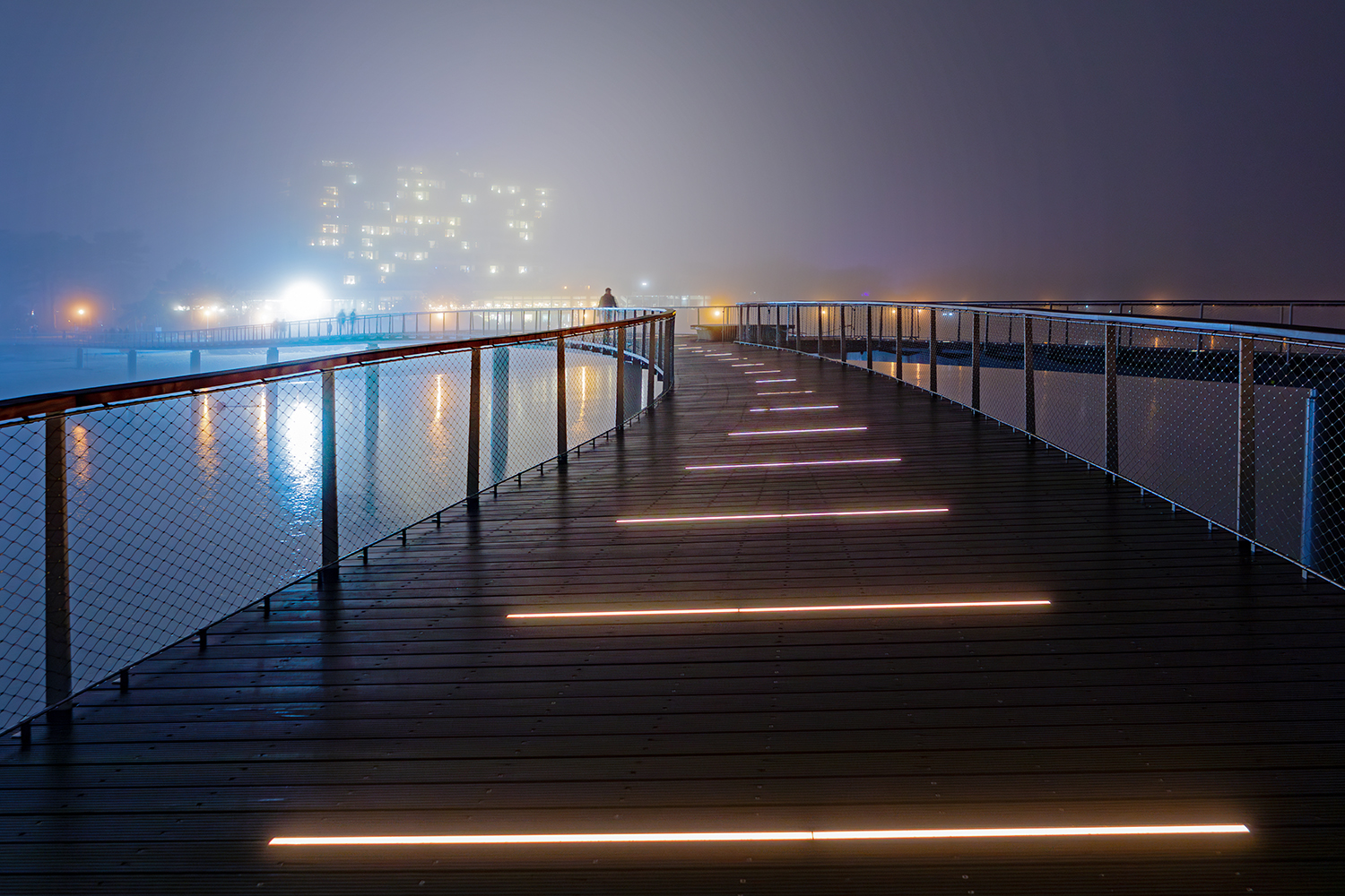 The Fog