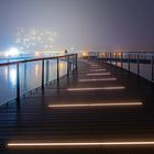 The Fog