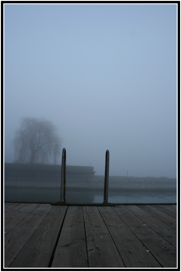 The fog - Der Nebel