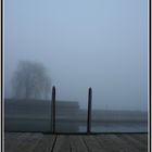 The fog - Der Nebel