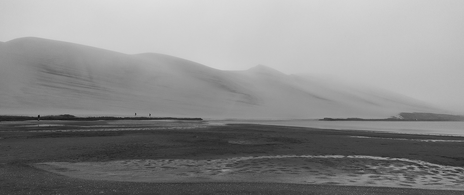 The Fog in the dunes of Nambia